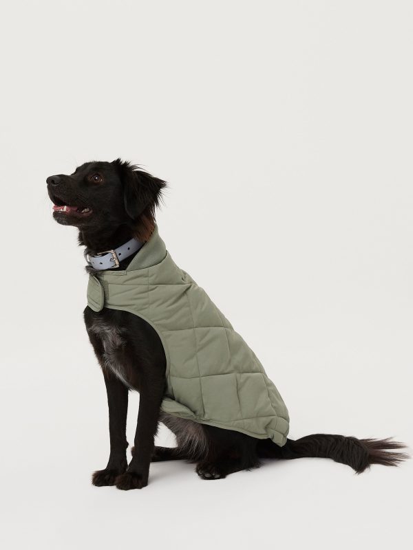 The Skyline Dog Jacket in Vetiver Green Online Hot Sale