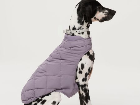 The Skyline Dog Jacket in Slate Violet Fashion