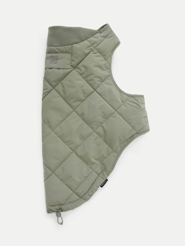 The Skyline Dog Jacket in Vetiver Green Online Hot Sale