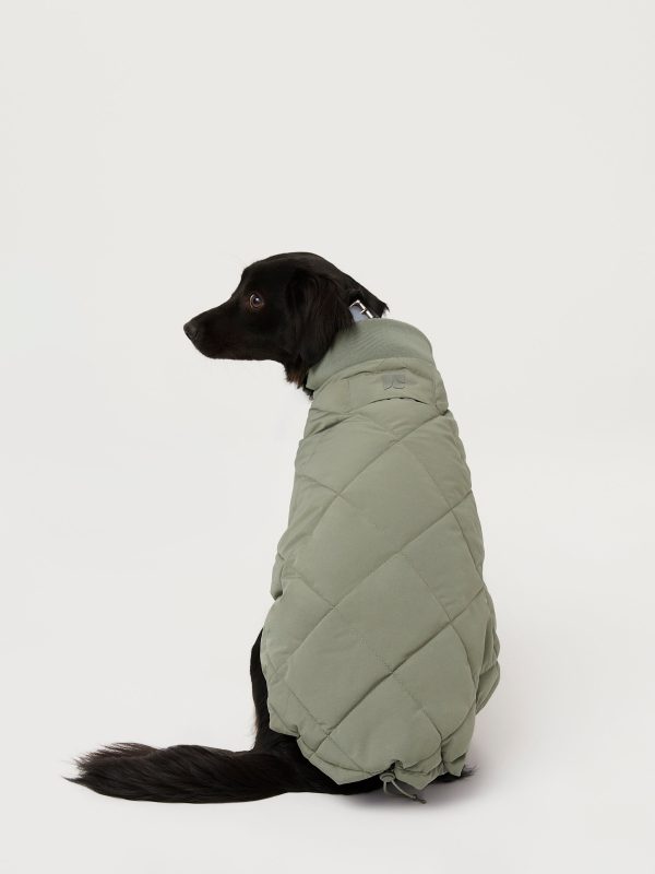 The Skyline Dog Jacket in Vetiver Green Online Hot Sale