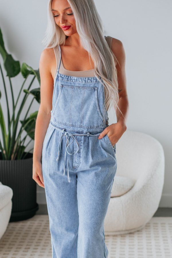 Sampson Denim Jumpsuit Online now