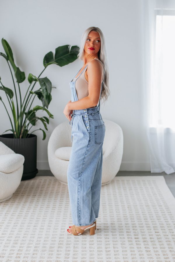 Sampson Denim Jumpsuit Online now