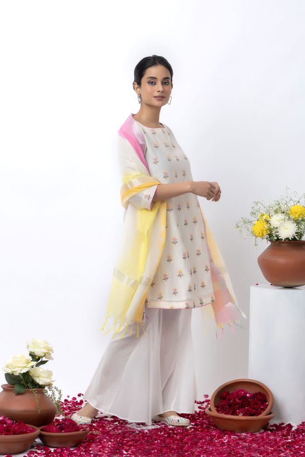 Embroidered chanderi sharara set Cheap