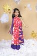 Sky Is A Miracle - Panelled Lehenga, Blouse and Dupatta Set Online