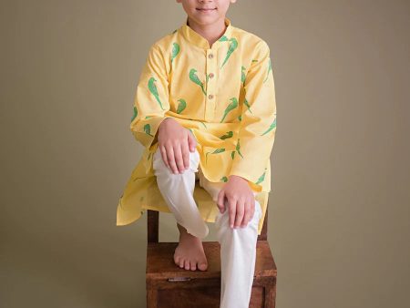 Tiya - A Parrot Red Kurta Payjama for Boys For Cheap