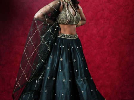 JEEVA LEHENGA SET Hot on Sale