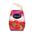 Renuzit Adjustable Solid Gel Air Freshener Cone  Forever Raspberry  Nonstop Freshness  7 Ounces  1 Cone Discount