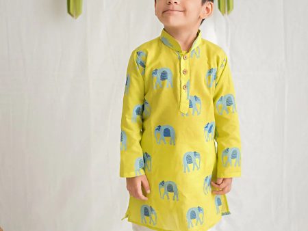 Rupa - The Elephant Kurta Payjama for Boys For Sale