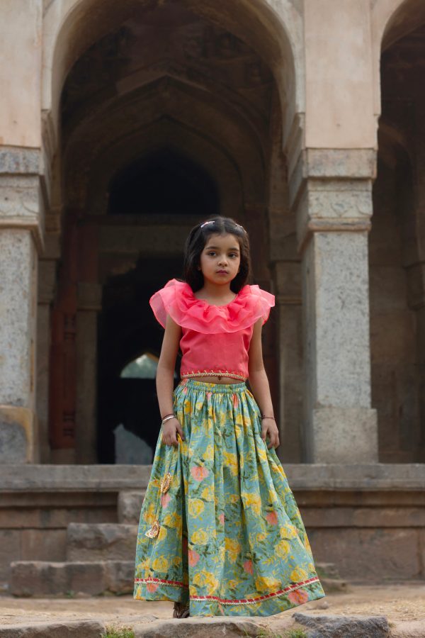 Lyla - Pink top with English blue floral lehenga Hot on Sale