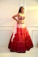 CELESTE  Pink Dupion Ombre Lehenga Sale