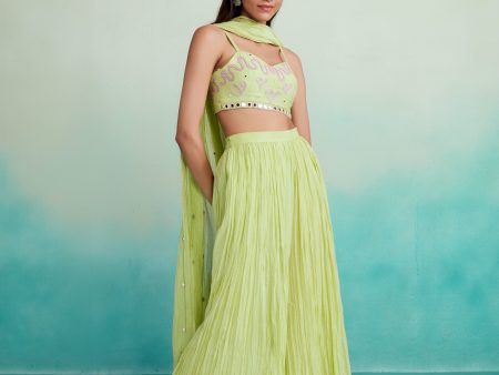 Zing sharara set - Lime Hand embroidered Crop top Sharara & Dupatta set Fashion