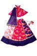 Sky Is A Miracle - Panelled Lehenga, Blouse and Dupatta Set Online