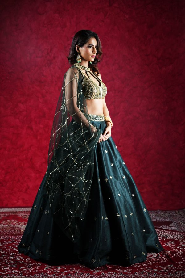 JEEVA LEHENGA SET Hot on Sale