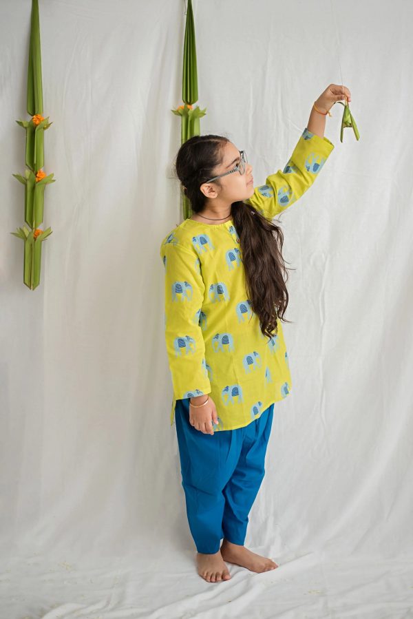 Rupa - The elephant Ethnic Kurta Payjama for girls Online Hot Sale